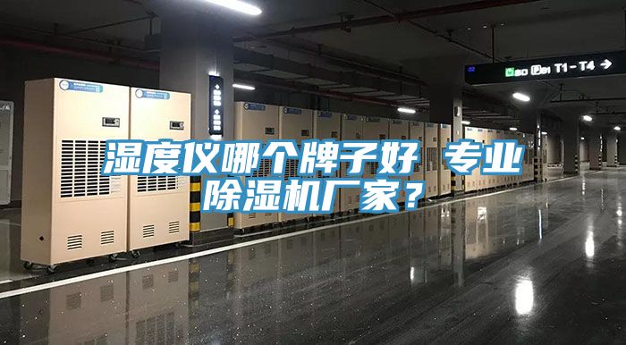 濕度儀哪個牌子好 專業(yè)除濕機(jī)廠家？