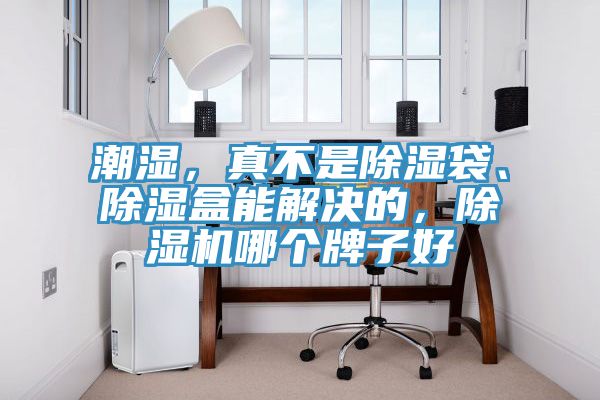 潮濕，真不是除濕袋、除濕盒能解決的，除濕機哪個牌子好
