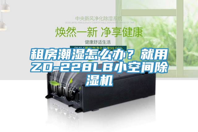 租房潮濕怎么辦？就用ZD-228LB小空間除濕機