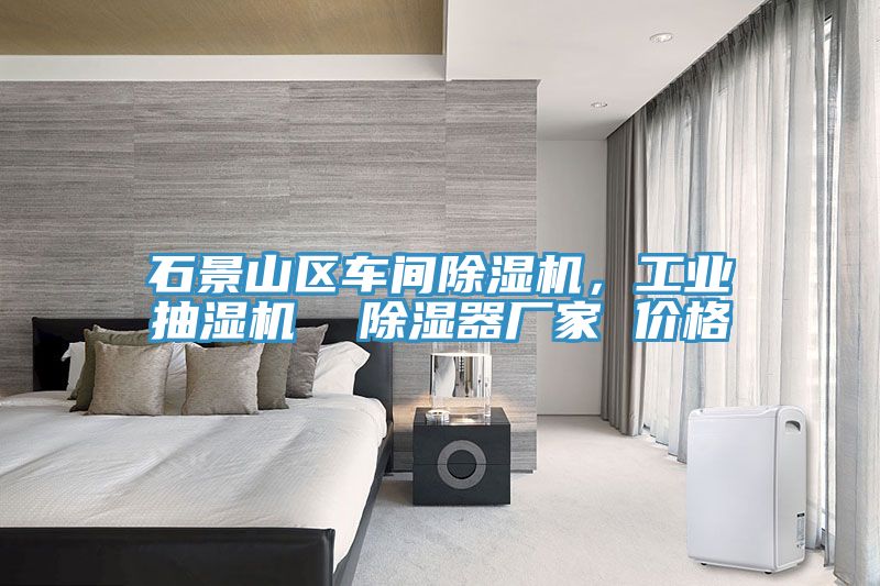 石景山區(qū)車間除濕機(jī)，工業(yè)抽濕機(jī)  除濕器廠家 價(jià)格