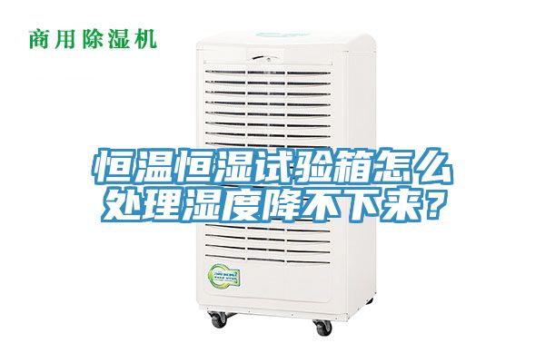 恒溫恒濕試驗(yàn)箱怎么處理濕度降不下來(lái)？