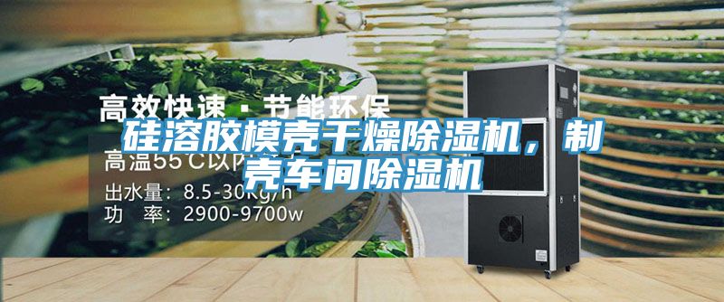硅溶膠模殼干燥除濕機(jī)，制殼車間除濕機(jī)