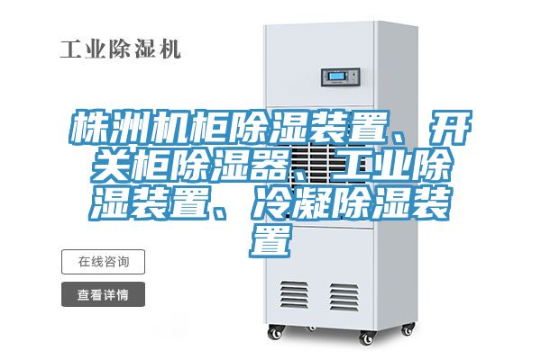 株洲機柜除濕裝置、開關柜除濕器、工業(yè)除濕裝置、冷凝除濕裝置