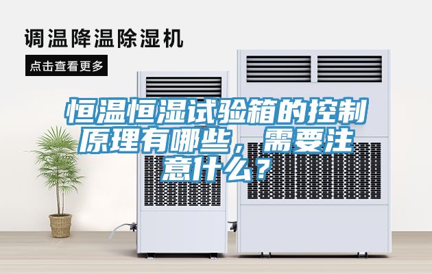 恒溫恒濕試驗(yàn)箱的控制原理有哪些，需要注意什么？