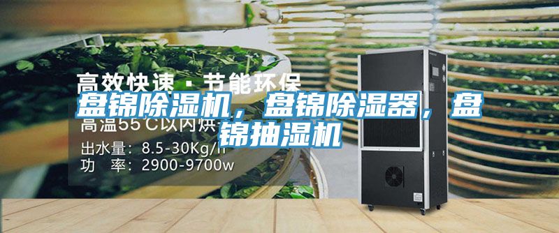 盤錦除濕機，盤錦除濕器，盤錦抽濕機