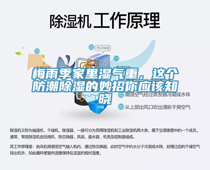 梅雨季家里濕氣重，這個防潮除濕的妙招你應(yīng)該知曉