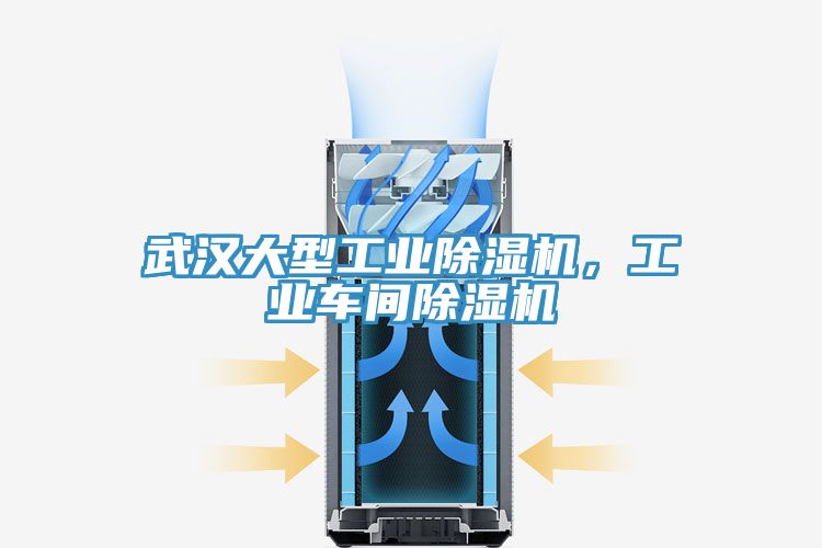 武漢大型工業(yè)除濕機(jī)，工業(yè)車間除濕機(jī)