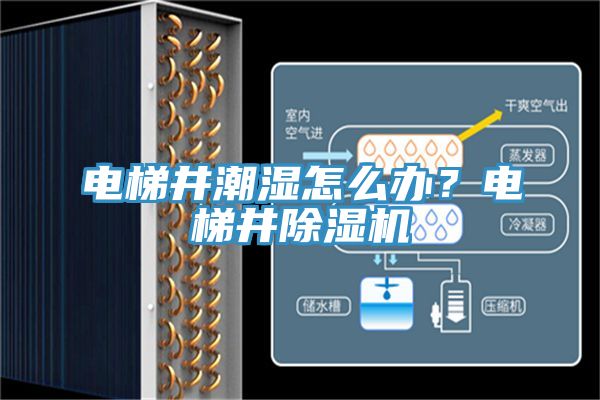 電梯井潮濕怎么辦？電梯井除濕機(jī)