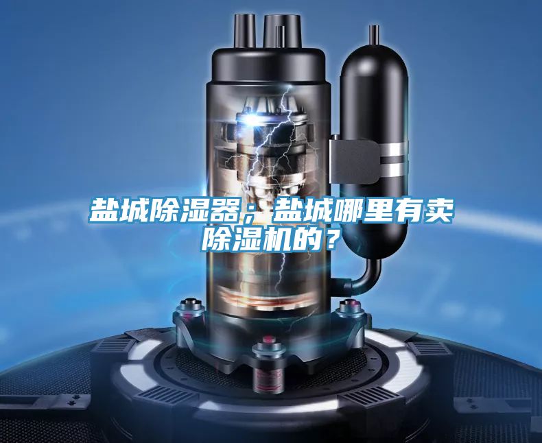 鹽城除濕器；鹽城哪里有賣除濕機的？