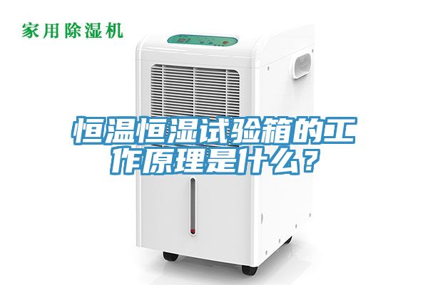 恒溫恒濕試驗箱的工作原理是什么？