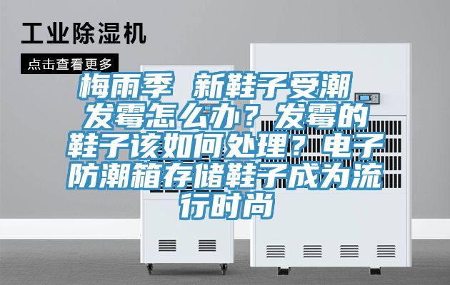 梅雨季 新鞋子受潮 發(fā)霉怎么辦？發(fā)霉的鞋子該如何處理？電子防潮箱存儲(chǔ)鞋子成為流行時(shí)尚