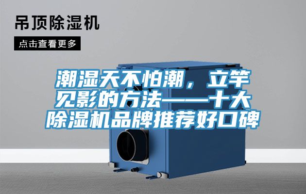 潮濕天不怕潮，立竿見影的方法——十大除濕機(jī)品牌推薦好口碑