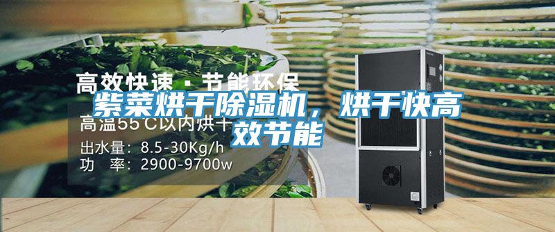 紫菜烘干除濕機(jī)，烘干快高效節(jié)能