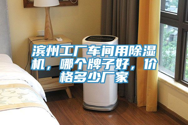 濱州工廠車間用除濕機(jī)，哪個(gè)牌子好，價(jià)格多少?gòu)S家