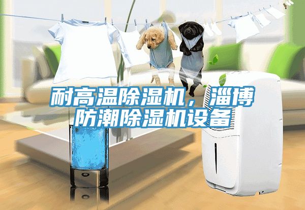 耐高溫除濕機，淄博防潮除濕機設備