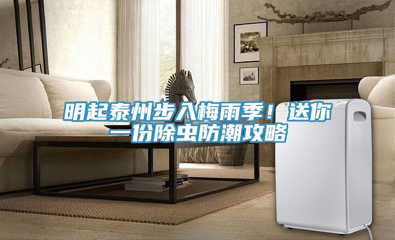 明起泰州步入梅雨季！送你一份除蟲防潮攻略