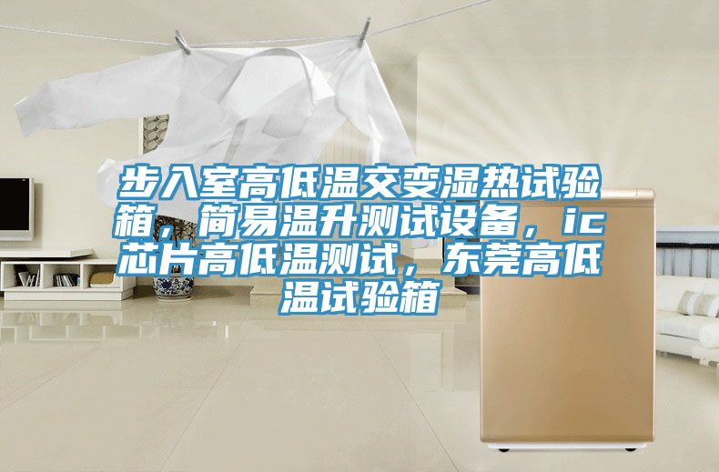 步入室高低溫交變濕熱試驗(yàn)箱，簡(jiǎn)易溫升測(cè)試設(shè)備，ic芯片高低溫測(cè)試，東莞高低溫試驗(yàn)箱
