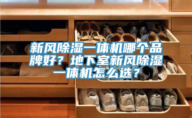 新風(fēng)除濕一體機(jī)哪個(gè)品牌好？地下室新風(fēng)除濕一體機(jī)怎么選？