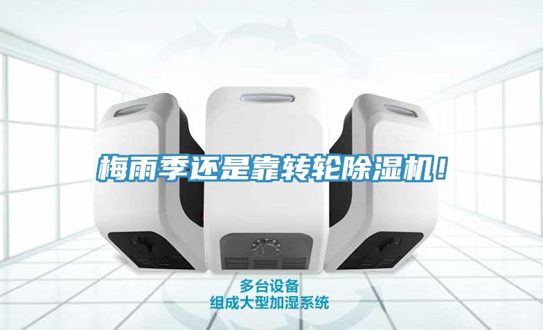 梅雨季還是靠轉(zhuǎn)輪除濕機(jī)！