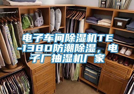 電子車間除濕機(jī)TE-138D防潮除濕，電子廠抽濕機(jī)廠家