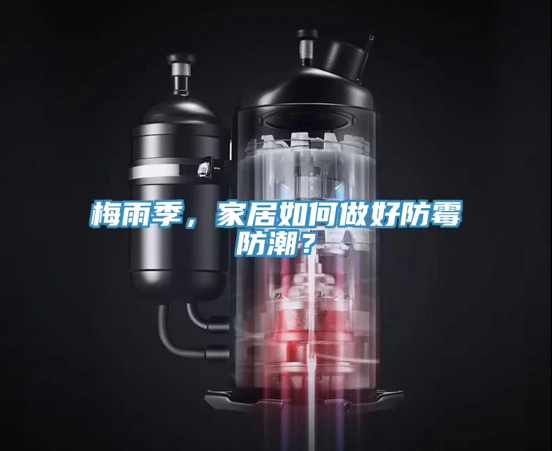 梅雨季，家居如何做好防霉防潮？