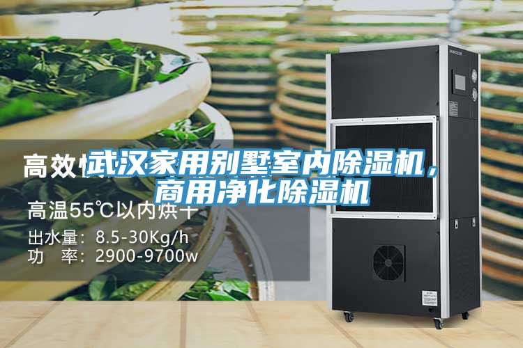 武漢家用別墅室內(nèi)除濕機(jī)，商用凈化除濕機(jī)