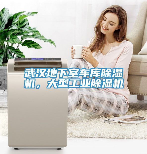 武漢地下室車庫(kù)除濕機(jī)，大型工業(yè)除濕機(jī)