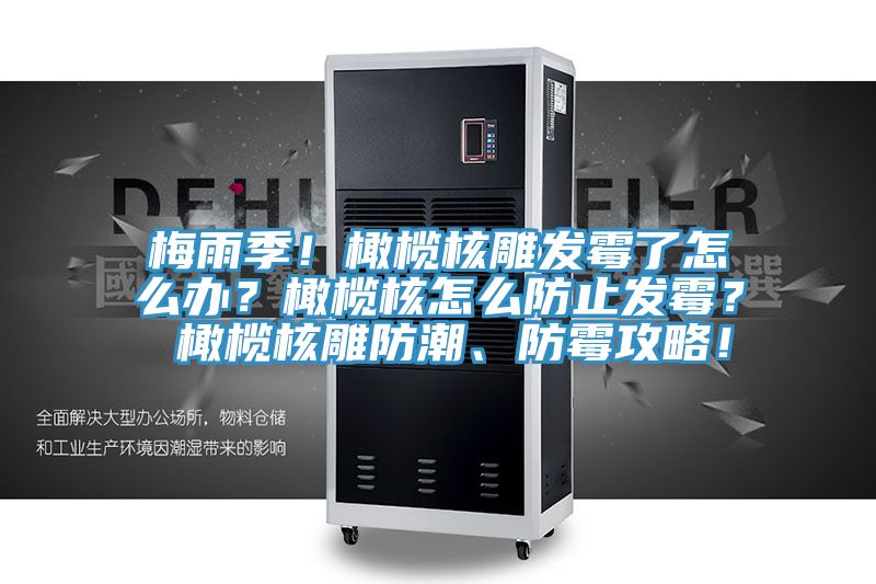 梅雨季！橄欖核雕發(fā)霉了怎么辦？橄欖核怎么防止發(fā)霉？ 橄欖核雕防潮、防霉攻略！