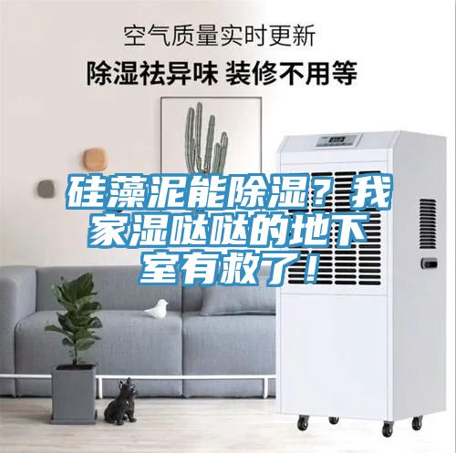 硅藻泥能除濕？我家濕噠噠的地下室有救了！