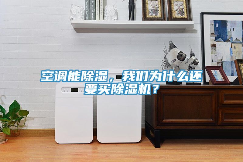 空調能除濕，我們?yōu)槭裁催€要買除濕機？