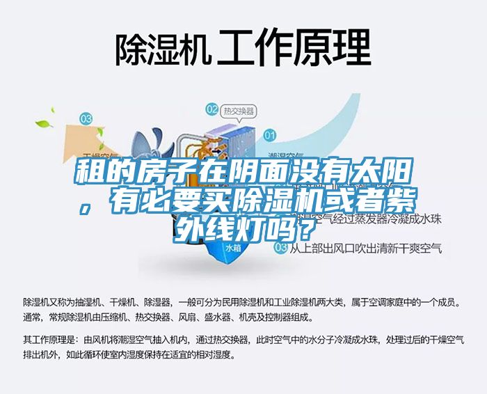 租的房子在陰面沒有太陽，有必要買除濕機或者紫外線燈嗎？