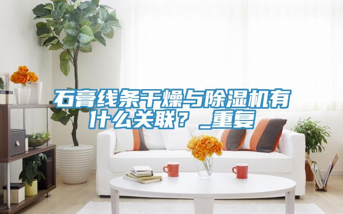 石膏線條干燥與除濕機有什么關聯(lián)？_重復