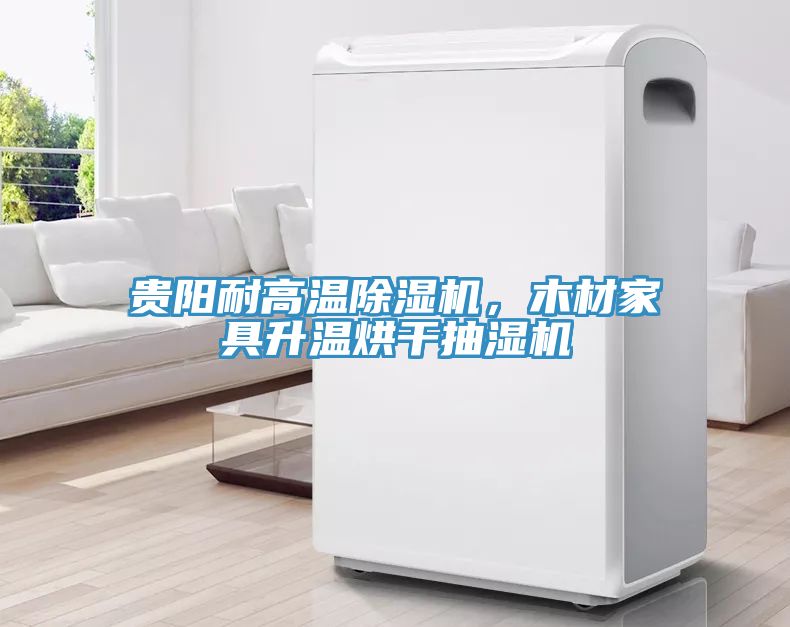 貴陽耐高溫除濕機(jī)，木材家具升溫烘干抽濕機(jī)