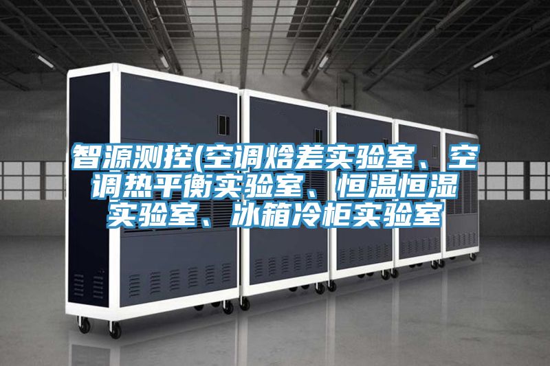 智源測控(空調(diào)焓差實驗室、空調(diào)熱平衡實驗室、恒溫恒濕實驗室、冰箱冷柜實驗室