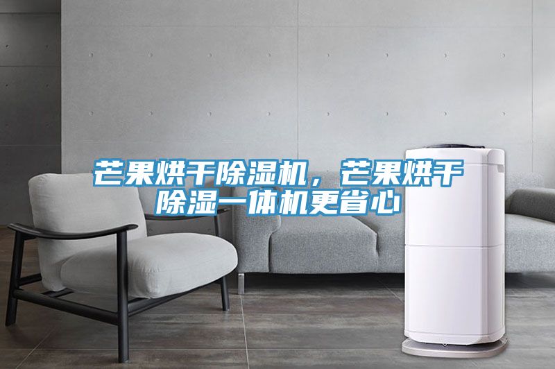 芒果烘干除濕機，芒果烘干除濕一體機更省心