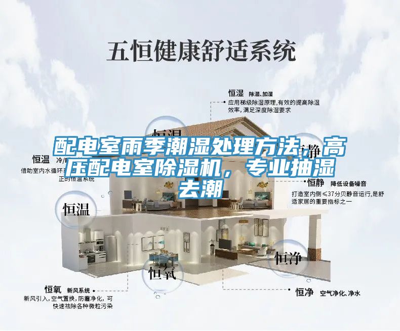 配電室雨季潮濕處理方法，高壓配電室除濕機(jī)，專業(yè)抽濕去潮