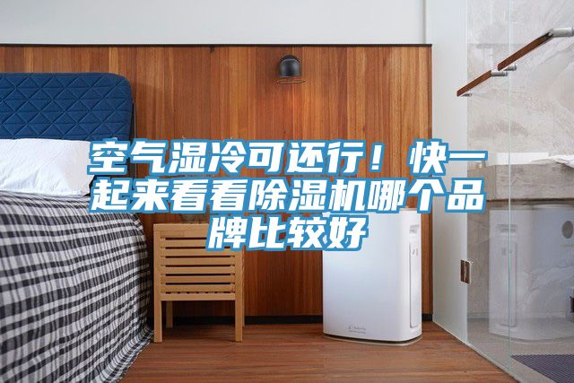 空氣濕冷可還行！快一起來(lái)看看除濕機(jī)哪個(gè)品牌比較好