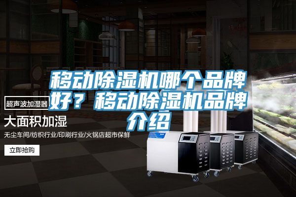 移動(dòng)除濕機(jī)哪個(gè)品牌好？移動(dòng)除濕機(jī)品牌介紹