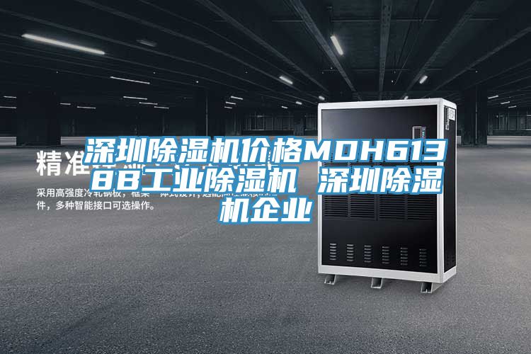 深圳除濕機價格MDH6138B工業(yè)除濕機 深圳除濕機企業(yè)