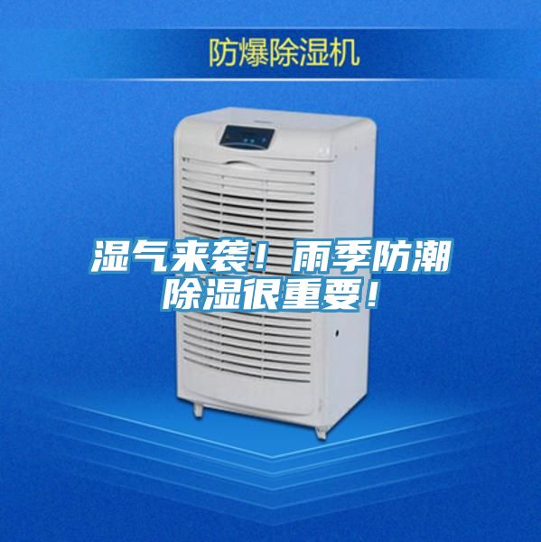 濕氣來襲！雨季防潮除濕很重要！