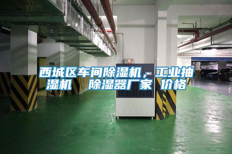 西城區(qū)車間除濕機(jī)，工業(yè)抽濕機(jī)  除濕器廠家 價(jià)格
