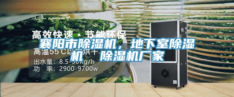 襄陽市除濕機(jī)，地下室除濕機(jī)  除濕機(jī)廠家