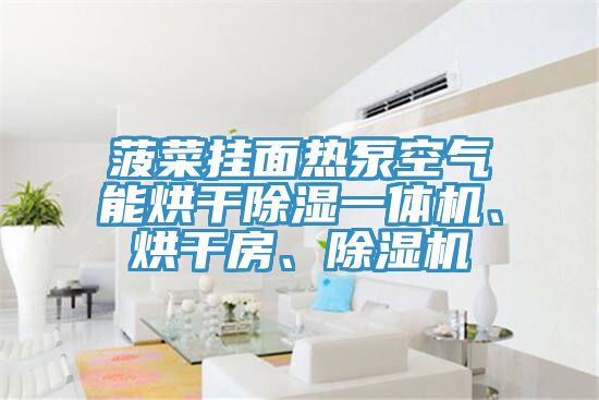 菠菜掛面熱泵空氣能烘干除濕一體機(jī)、烘干房、除濕機(jī)