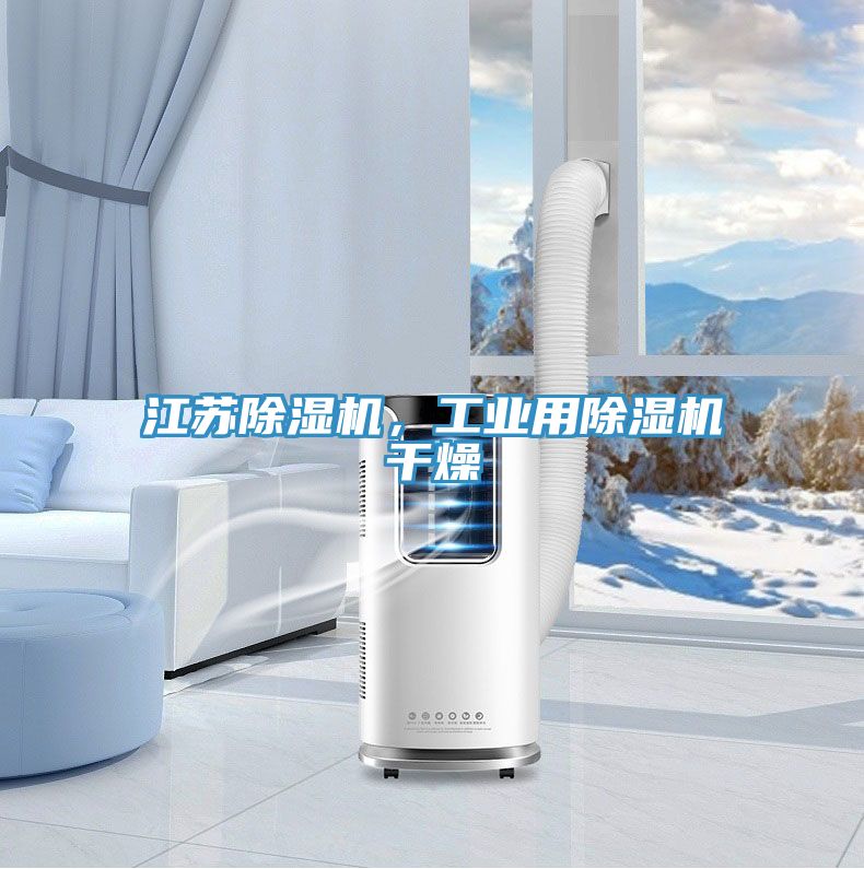 江蘇除濕機，工業(yè)用除濕機干燥