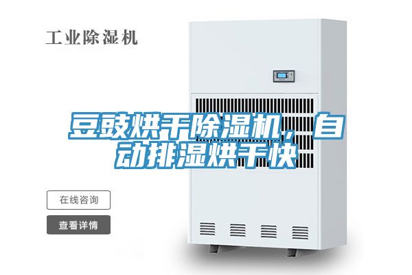 豆豉烘干除濕機，自動排濕烘干快