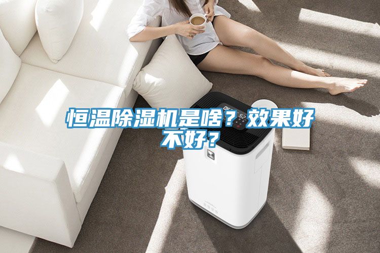 恒溫除濕機是啥？效果好不好？