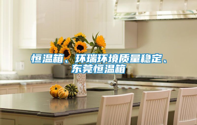恒溫箱、環(huán)瑞環(huán)境質(zhì)量穩(wěn)定、東莞恒溫箱