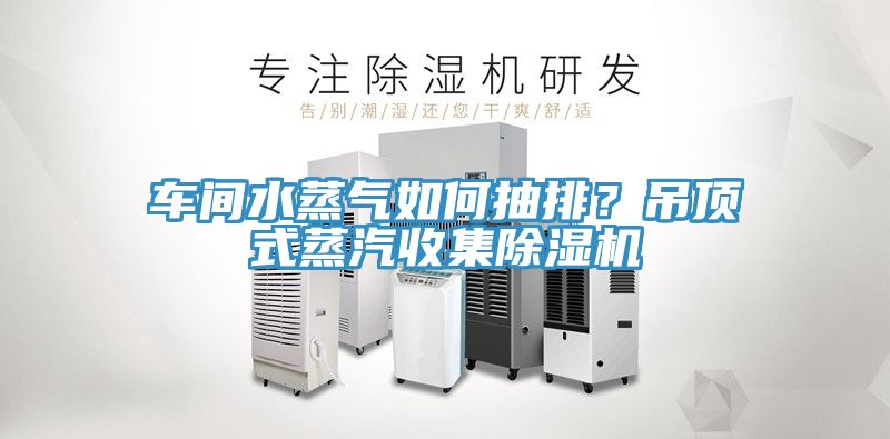 車間水蒸氣如何抽排？吊頂式蒸汽收集除濕機