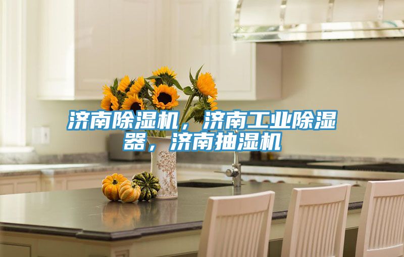 濟(jì)南除濕機(jī)，濟(jì)南工業(yè)除濕器，濟(jì)南抽濕機(jī)