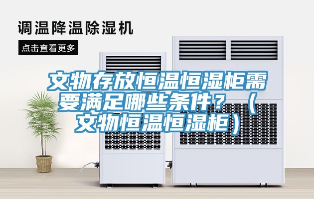 文物存放恒溫恒濕柜需要滿足哪些條件？（文物恒溫恒濕柜）